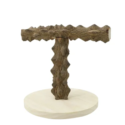 Modern T-Shaped Bird Stand with Ladder Wood Pepper Game Stand for Parrot Toy Training Colorful Climbing Pole Supplements
