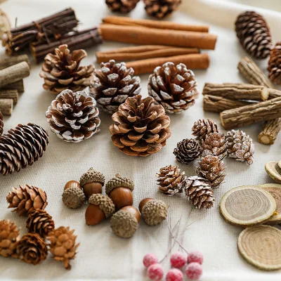 Christmas Scene Decoration Supplie Natural Christmas Flower Christmas Nativity Scenes