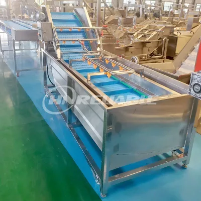 Automatic Vegetable and Fruit Washing Machine Bubble Type for Onion Banana Plantains Carrot Motor as Core Component
