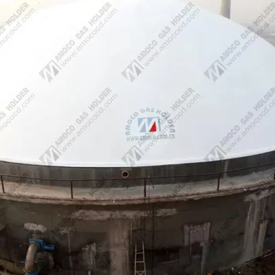 AMOCO India Large Farm Livestock Anaerobic Digester for Cattle and Pig Manure Processing Biogas Power Generation