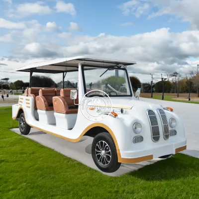 11 Persons Street Legal New Energy Electric Mini Car 11 Seater Classic Moke Steel Chassis LED Lights