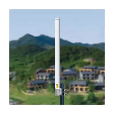 2*10dBi Dual Polarization 2.4GHz Wireless WI-FI Mimo Long Range WIFI Omni Directional WIFI Antenna