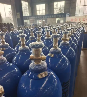 Nitrogen Cylinder Oxygen Cylinder Gas Cylinder for Filling Station