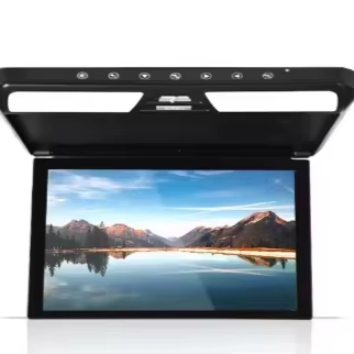 11 Inch LCD Flip-down Roof Mount Car Monitor with 1 Year Warranty MP5