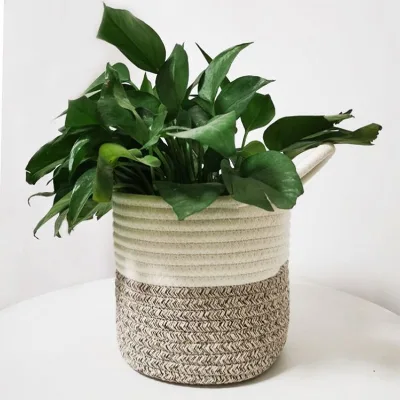 Rattan Pots and Pans Play Wide Boho Wall Decor Plant Pully Hanging Basket Seagrass Set of 3 High Quality Strong Fruit