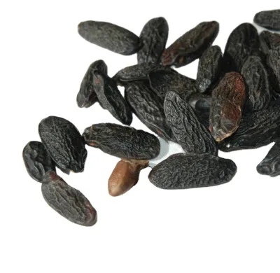 200g Dried New Collected Spice Raw Whole Tonka Beans for Food