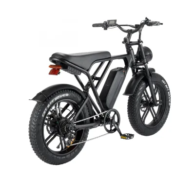 1000W Hybrid Electric Dirt Bike 20\"X4.0 Fat Tire Wheel 7-Speed System Double Disc Brake Aluminum Steel Fork Material Alloy Rim
