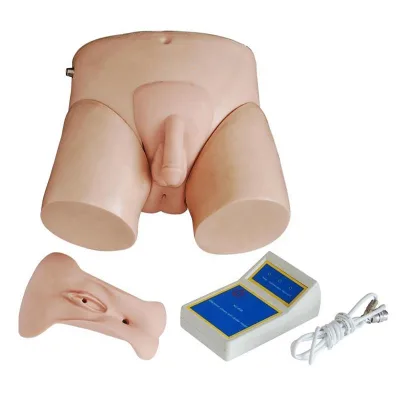 Electronic Urinary Model Medical Training Models