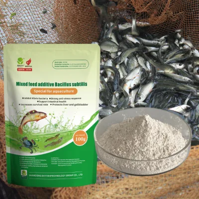 Natural Probiotic Power Improve Water & Feed Conversion with Bacillus Subtilis Feed Additive