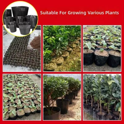 Thickened Black Disposable Nutrition Bags Tall Irregular Seedling Cups for Fruit Tree Seedling