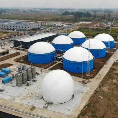 CE Certified AMOCO Double Membrane Biogas Storage Tank, Biogas Holder, Biogas Cover