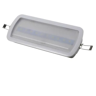 CE High Luminous Flux & Efficacy LED Bulkhead Lamp Wall Mounted Emergency Light Luz Emergencia From China Supplier