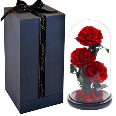 Top Quality Eternity Rose Preserved Rose Forever Rose in Glass Dome Including Gift Boxes
