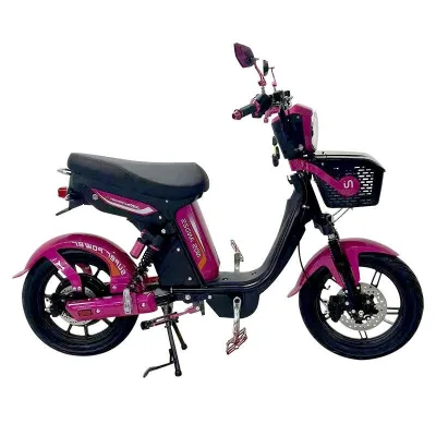 SHUNYANG Electrica Pedal Assist Brushless Rear Hub Long Range Touring 3-Speed 60V 501-1000W 40-60km/h Hebei Wholesale