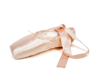 Ballet Pointe Shoes for Sale Wholesale Cheap Pointe Ballet Dance Shoes