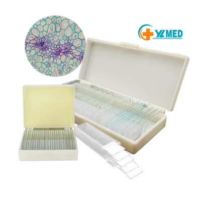 Botany Pathology Research Microscope Prepared Slides Disease of Solanaceae Vegetable for Crop Teaching Use