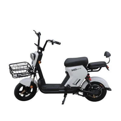 Factory Price New Electric Vehicles 350w Electric Vehicle 48V Commuting Electric Vehicles