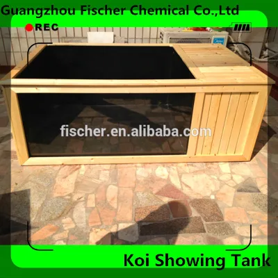 High Quality New Design Koi Fish Showing Fank , Fiberglass Koi Fish Showing TankTank