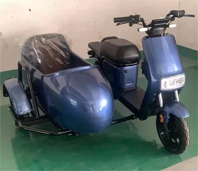 Three Wheel Electric Motorcycle EEC COC 1000w Tricycle Bicycle Sidecar for Adults Electric Ciytcoco Pets Scooter