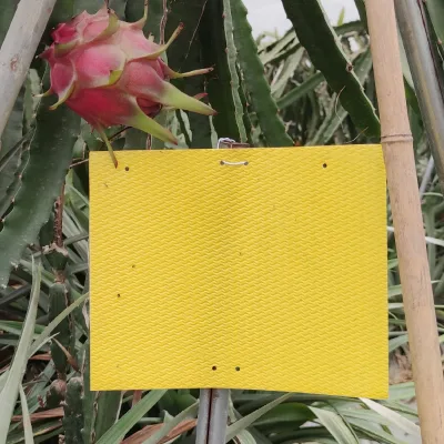25 Pcs/Pack Biodegradable Yellow Glue Trap Disposable Fly Insect Catcher Pest Control Product