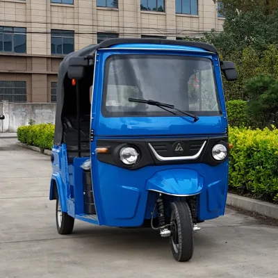 High Quality ChangYang EEC Certified Motorized Three-Wheeled Open Body Vehicles with 200-250W Power for 7-9 Passengers