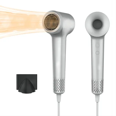 Wholesale Professional BLDC Motor Hair Dryer with Ionic Feature Nozzle Magnetic Styling for Hotels