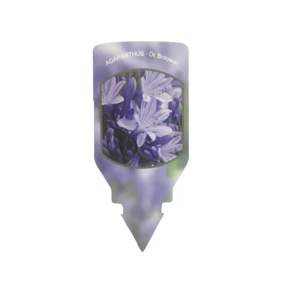 Custom Plant Tag Seeds Soil Inserted Durable Stem Label