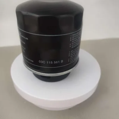 New Yuesheng High Quality Fuel Filter 03C115561B for Volkswagen Polo with 1 Year Warranty China Hebei