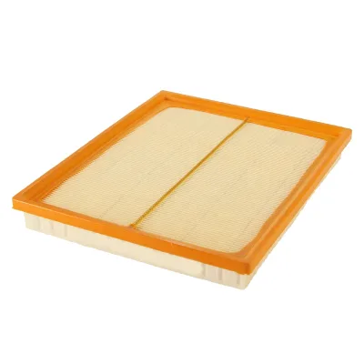 Car Air Filter 1013709 for Ford MG