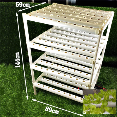 Large Flat Hydroponics with Soilless Planting