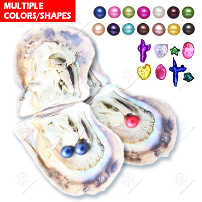 Pearl Color Bright and Colorful Can Be Used for a Variety of Crafts Vacuum Packaging Wholesale,Natural Freshwater Pearl oyster