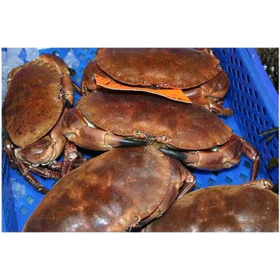 Lobster & Crab