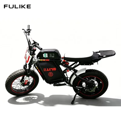 500W Central Motor 48V Lithium Battery Electric Mountain Bike 20Inch Fatbike 7-Speed Aluminum Alloy Frame Full Suspension