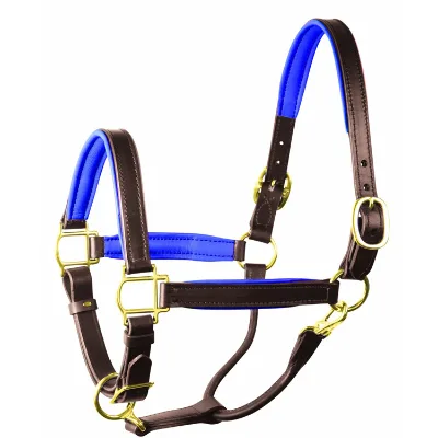 High Quality Durable Leather Horse Halter With Soft Neoprene Padded Nose Band and Neck