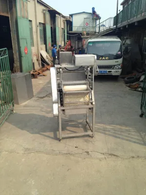 Automatic Cherry Pitter Machine Electric