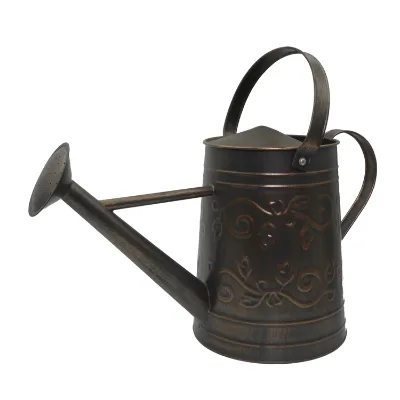 Cheap Price New Product Contemporary Popular Brown Fancy Watering Can Design for Outdoor and Indoor Plants