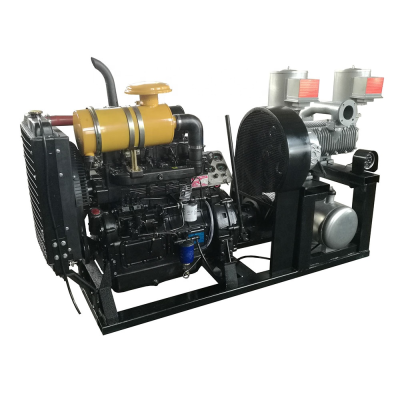 Diesel Engine
