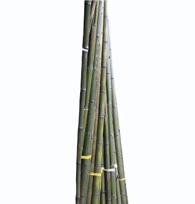 Professional Wholesale Moso Bamboo Cane for Decoration and Construction