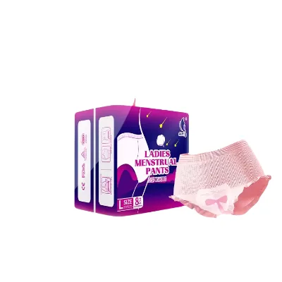 Disposable Adult Wearing Lady Diaper Girl Menstrual Period Diapers Women Napkin Pad Sanitary Pants