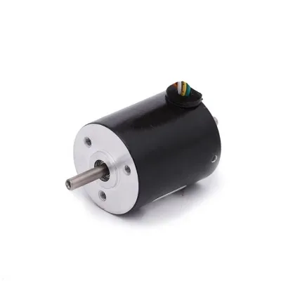 Factory Customized Brush Commutated Permanent Magnet Construction Asynchronous AC Geared Brake Motor Fans for Electric Bicycle