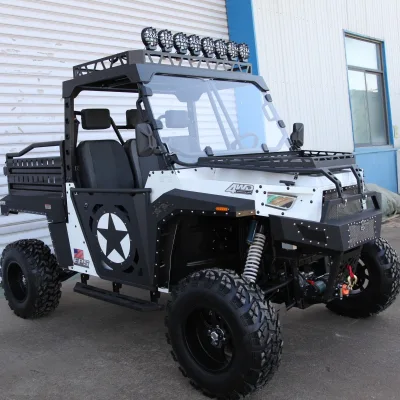 Automatic 1000W 60V Four-Wheel All-Terrain Off-Road Motorcycle UTV Switchable 2WD/4WD 4 Stroke Engine EPA Certified