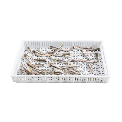 Hot Sale Good Price Various Sizes Plastic Drying Products Food Grade Storage Tray Drying Trays