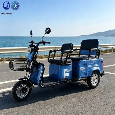 Multifunctional Family Use Electric Tricycle Three Wheels Elderly Mobility Transport Vehicle Electric Tricycle