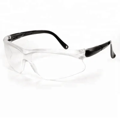 Safety Dust Goggles