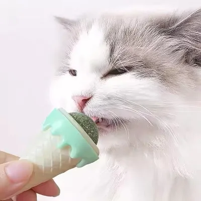 Eco-Friendly Ice Cream Worm Fruit-Shaped Catnip Balls Teeth Cleaning Grass Hairball-Grinding Cat Toys