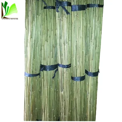 Nature Green Guadua Bamboo Cane
