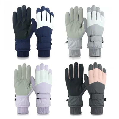 Waterproof Touchscreen Insulated Ski Gloves, Windproof & Warm for Extreme Cold, Custom Logo Supported