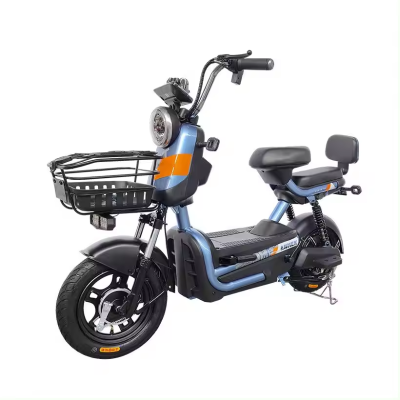Electric Bicycle for Adult Electric Bike 2 Wheels Hot Sale China Made Cheap Good Looking Street Electric Bike