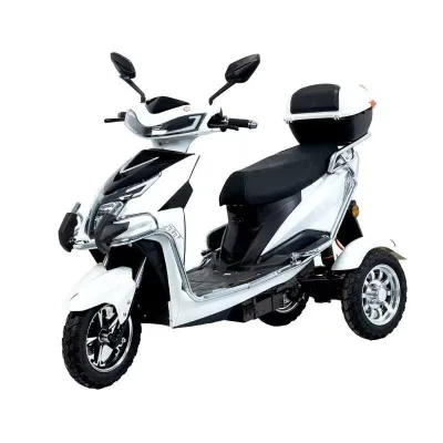 The Latest Export, with Strong Battery Life and the Ability to Carry Two People, Is Lightweight Electric for Both Men and Wome