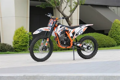 New 300cc Air Cooling Off-Road Dirt Bike with Electric Start Max Speed 80km/h Green
